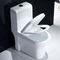 كفاءة في استخدام المياه المرحاض الأمريكي القياسي الممدود سهل التركيب