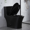 مراحيض حمامات سيفون ثنائية الصمام ذات صمام التدفق المطفأ باللون الأسود المطفأ مع 10.5 باللون الأسود