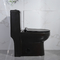 cUPC Ada المتوافقة مع المرحاض قطعة واحدة ممدود وعاء عادي الارتفاع بدون شفة