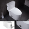 كفاءة عالية قطعة واحدة بيضاء طويل القامة المراحيض السلطانية MAP800G