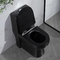 مراحيض سوداء مطولة من قطعة واحدة 1.6 Gpf Siphon Jet أنظمة تنظيف المرحاض